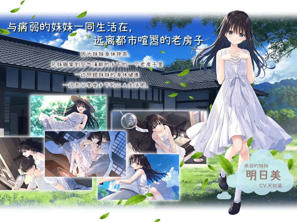 【RPG-官中-PC】痴情哥哥与病弱妹妹的乡间生活-エッチで一途なド田舎兄さまと、古式ゆかしい病弱妹1