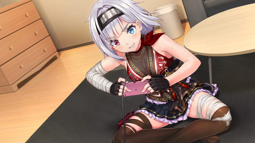 女忍者同居生活1+2 NinNinDays1+2 V1.0.0 STEAM官方中文版1